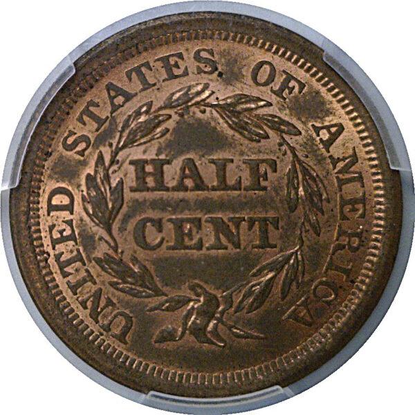 1856 Half Cent   PCGS MS-62 RB - Image 3