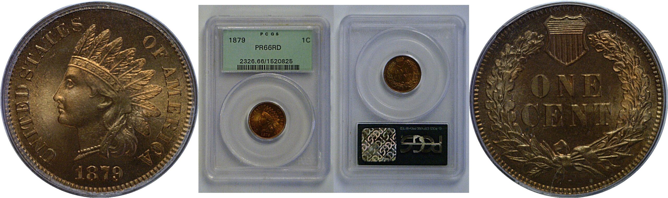 1879 Indian Head Cent   PCGS PR-66 RD