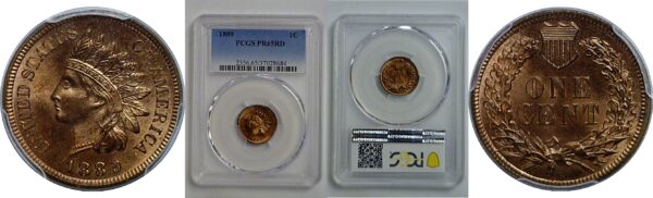 1889 Indian Head Cent   PCGS PR-65 RD