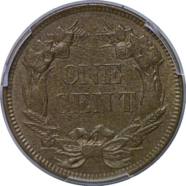 1857 Flying Eagle Cent   PCGS MS-63  CAC - Image 3