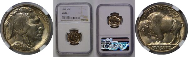 1929-S  Buffalo Nickel   NGC MS-66+