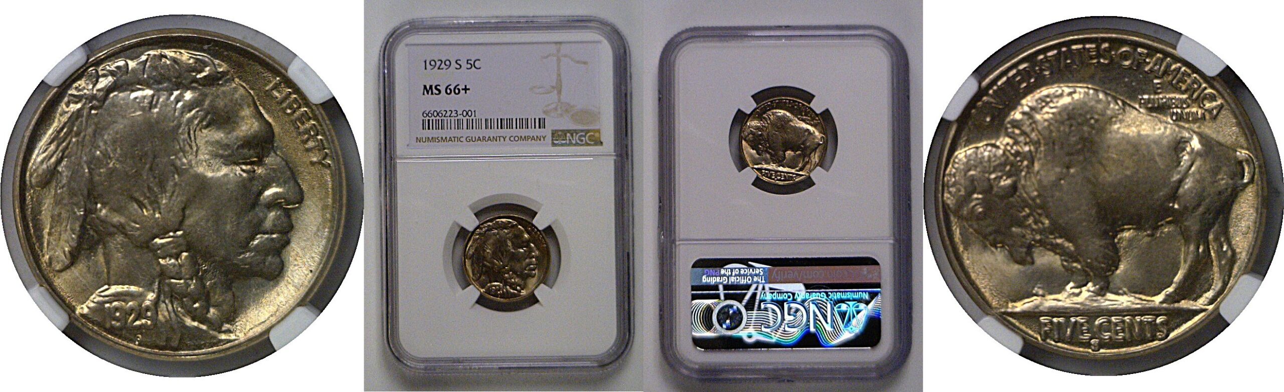 1929-S  Buffalo Nickel   NGC MS-66+
