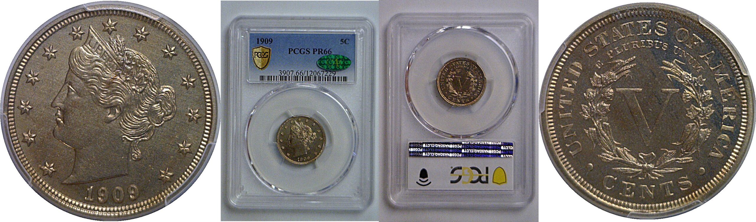 1909 Liberty Nickel    PCGS PR-66  CAC