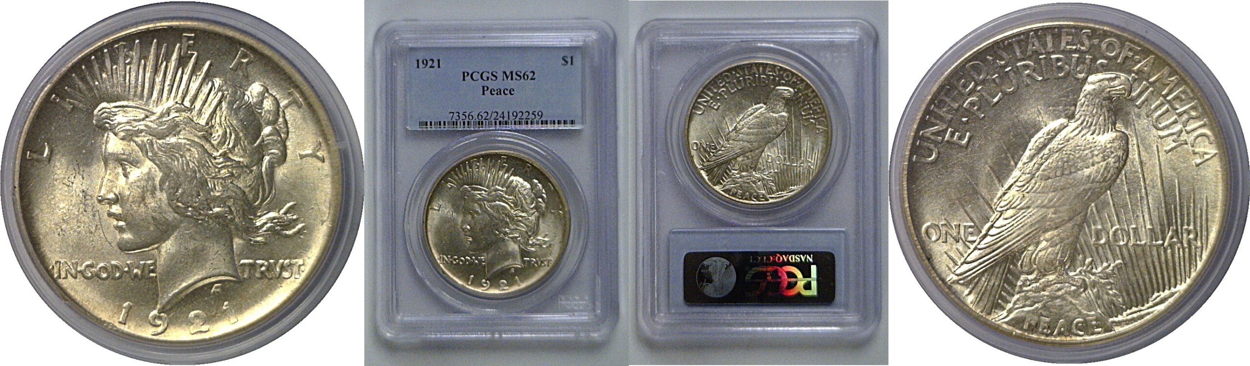 1921 Peace Dollar  PCGS MS-62