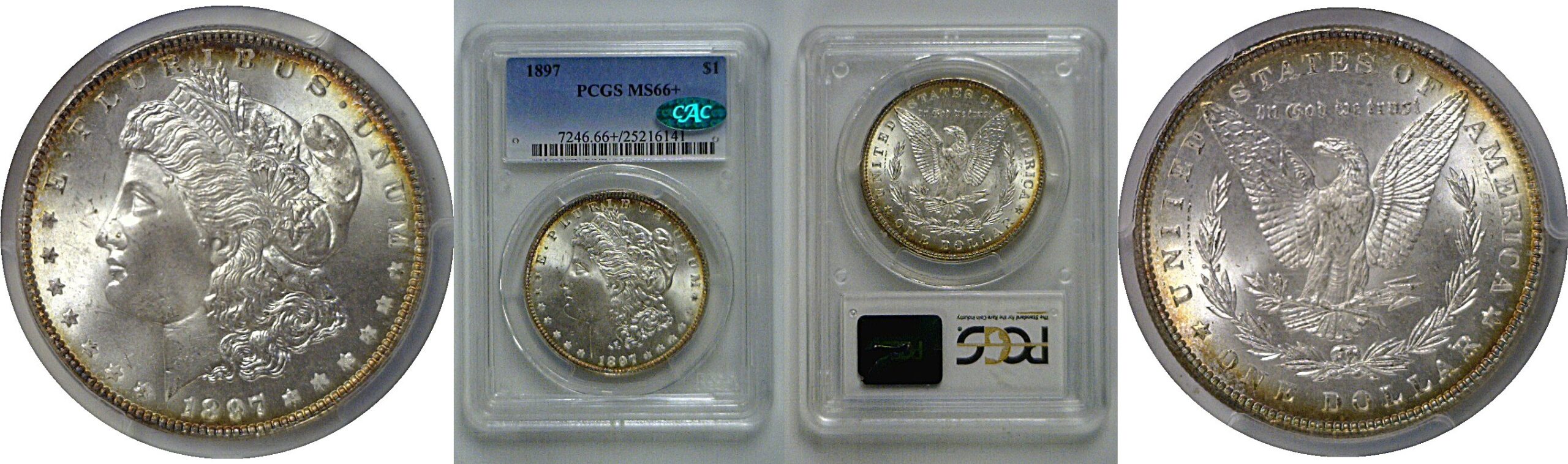 1897 Morgan Dollar   PCGS MS-66+  CAC
