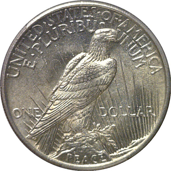 1921 Peace Dollar  PCGS MS-61 - Image 3