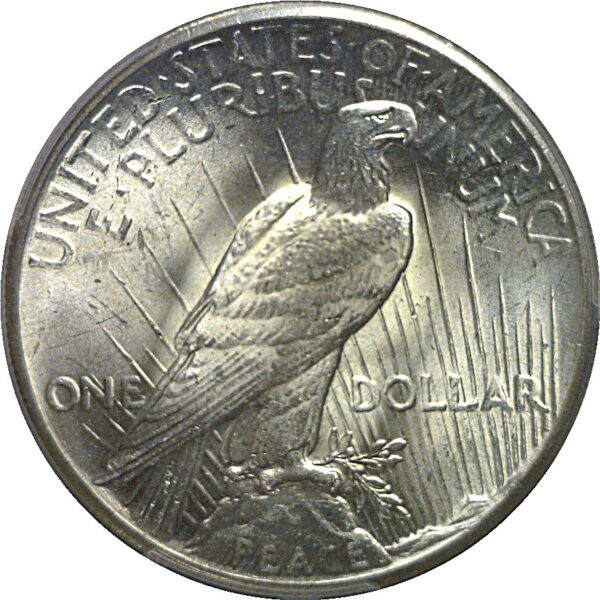 1928 Peace Dollar   PCGS MS-62 - Image 3