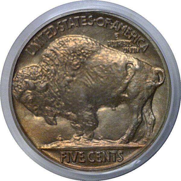 1916 Buffalo Nickel  PCGS PR-66 - Image 3