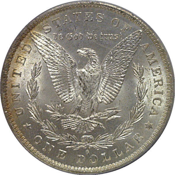1884-O Morgan Dollar   PCGS MS-64 - Image 3