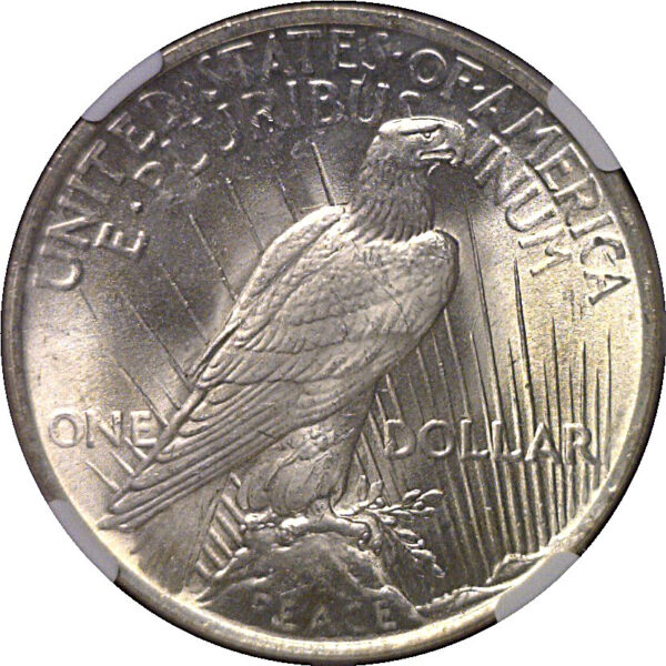 1923 Peace Dollar   NGC MS-66+ - Image 3