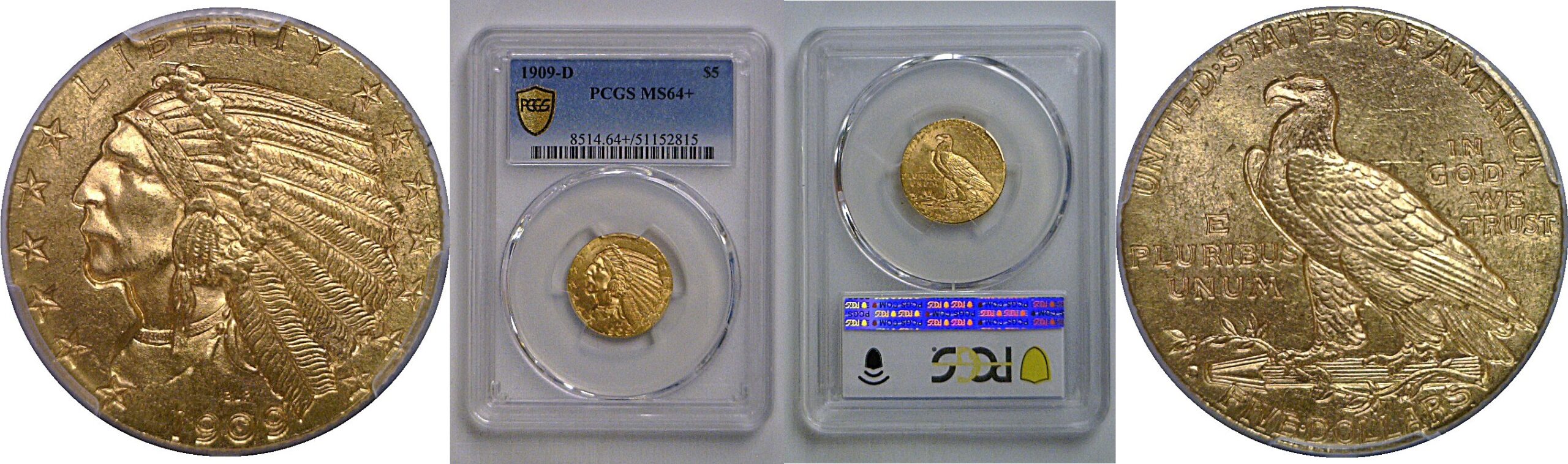 1909-D $5 Indian    PCGS MS-64+