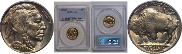 1936-D Buffalo Nickel   PCGS MS-66