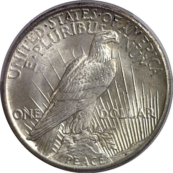 1921 Peace Dollar   PCGS MS-63 - Image 3