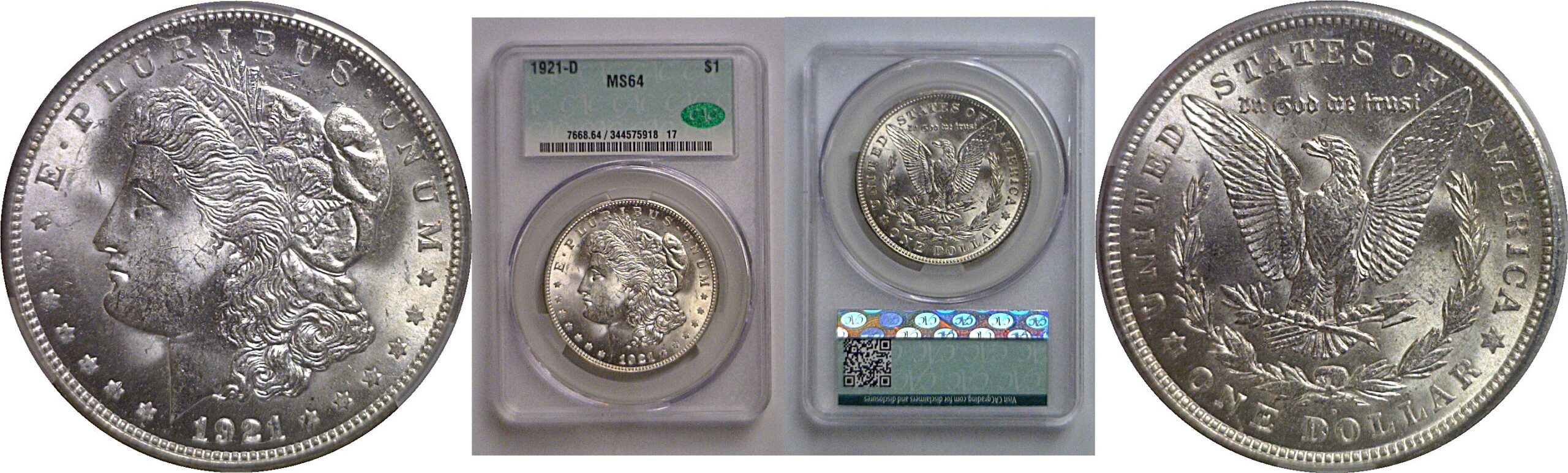 1921-D Morgan Dollar   CACG MS-64