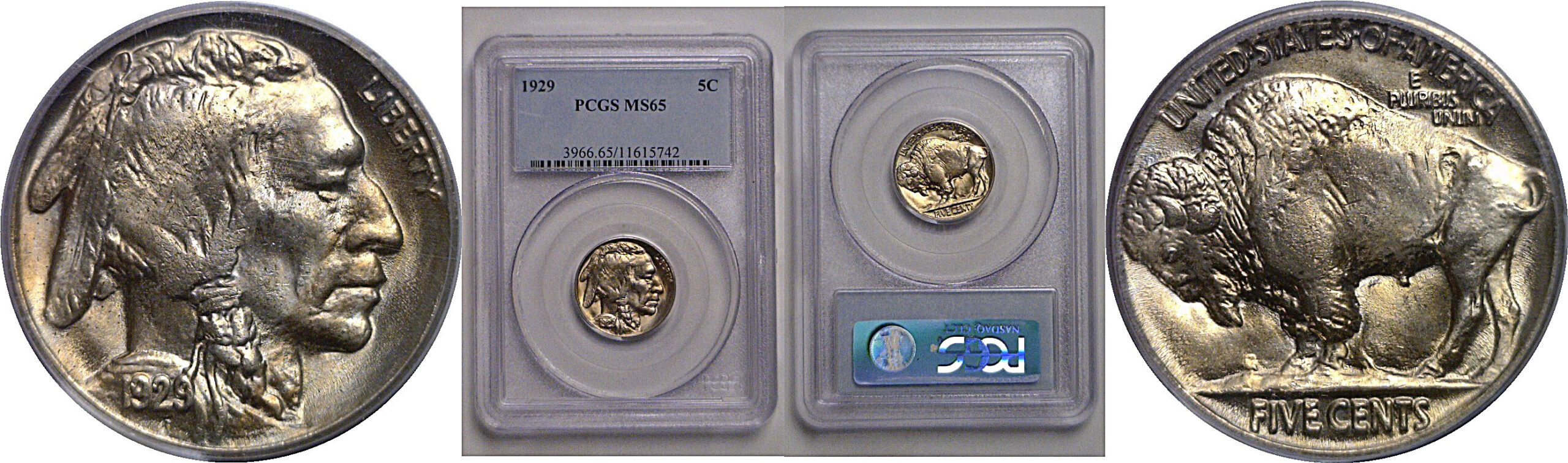 1929 Buffalo Nickel   PCGS MS-65