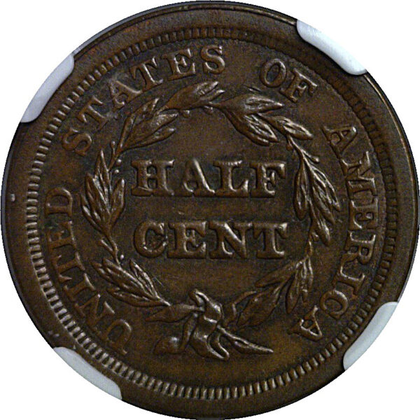1849 Half Cent    NGC MS-64 BN - Image 3