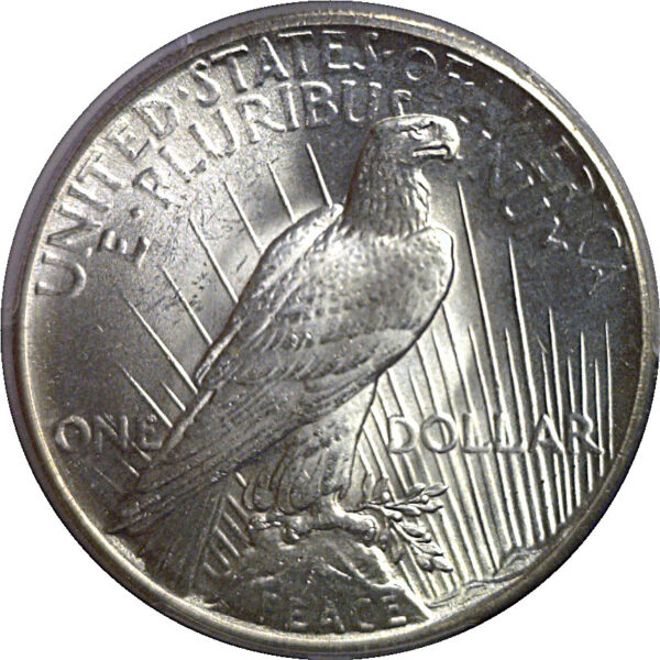 1928 Peace Dollar   PCGS MS-65 - Image 3