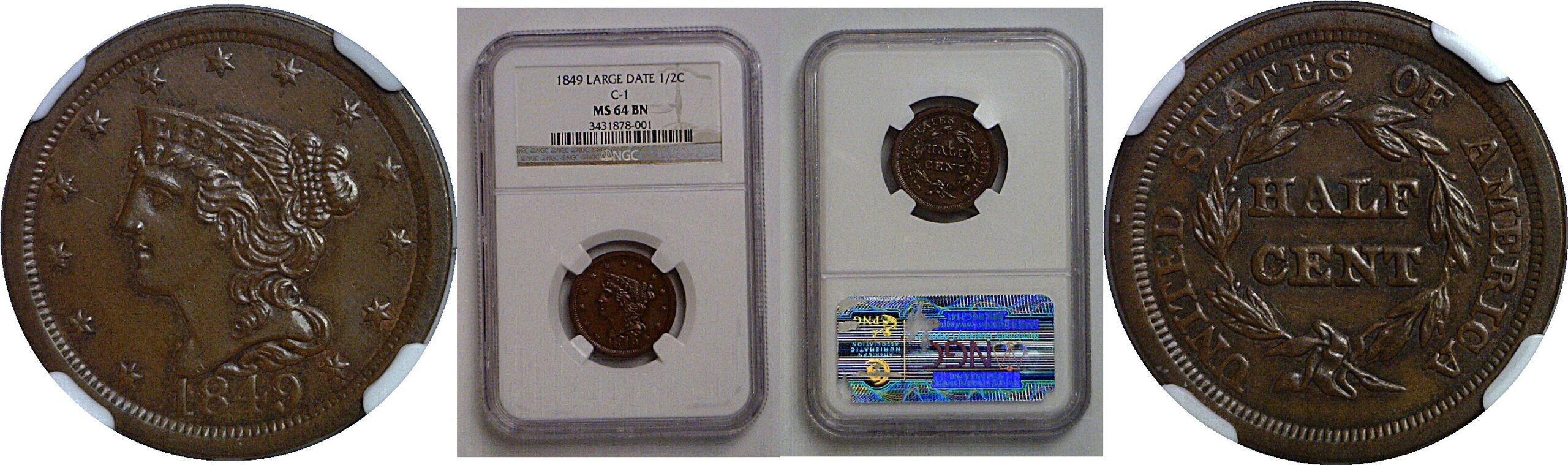1849 Half Cent    NGC MS-64 BN