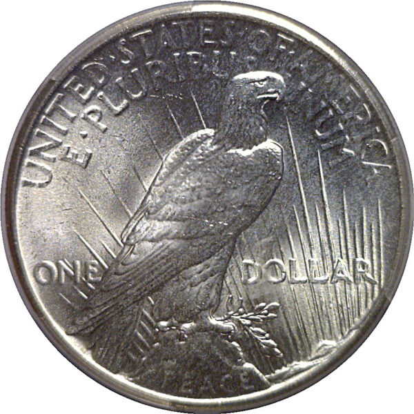1925  Peace Dollar   PCGS MS-67 - Image 3