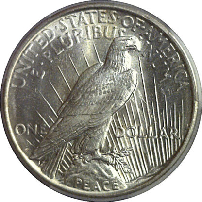 1926-D Peace Dollar    PCGS MS-63 - Image 3