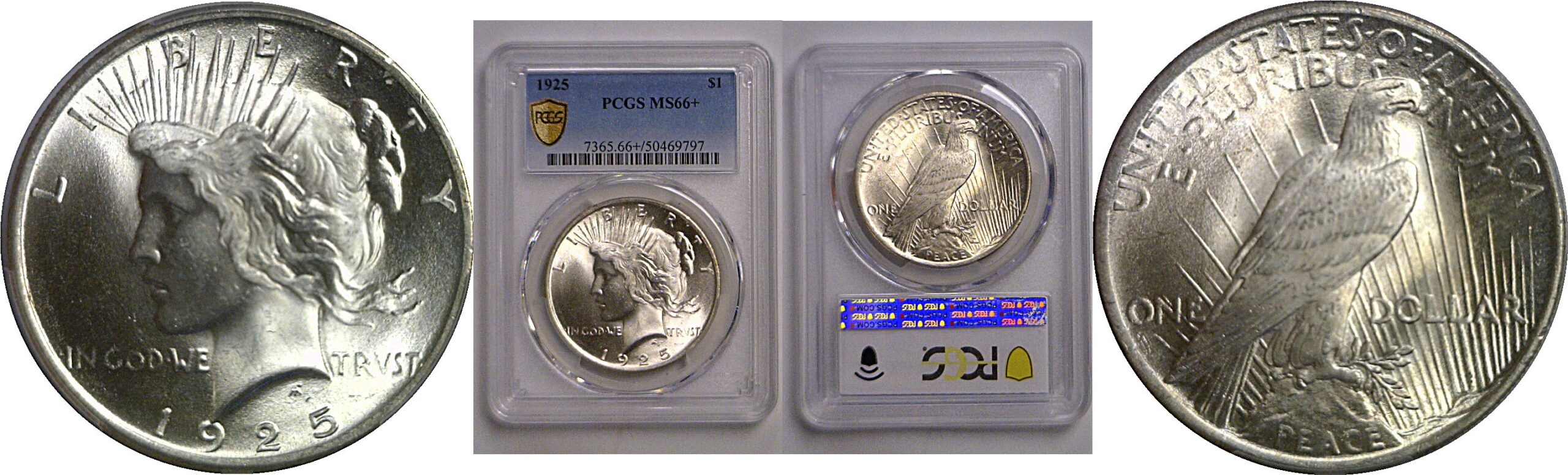 1925  Peace Dollar    PCGS MS-66+