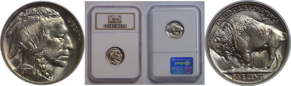1917 Buffalo Nickel   NGC MS-66