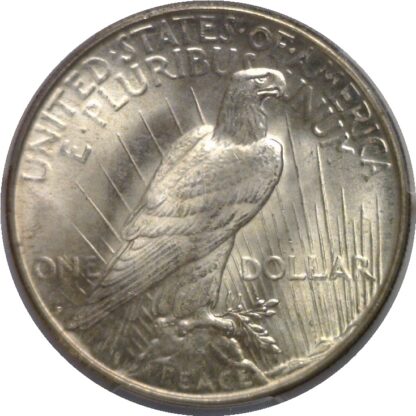 1923-D Peace Dollar    PCGS MS-66 - Image 3