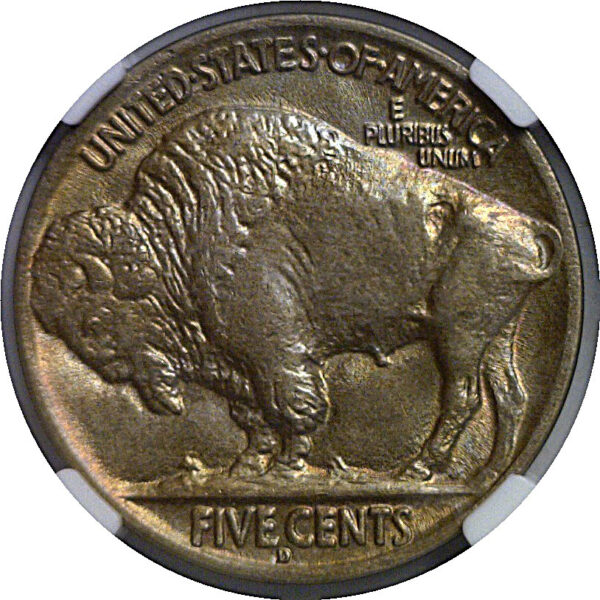 1928-D  Buffalo Nickel   NGC MS-66 - Image 3