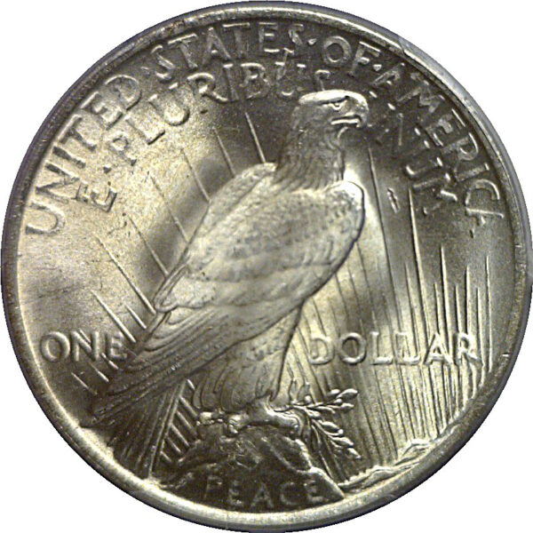 1923 Peace Dollar   PCGS MS-66+  CAC - Image 3
