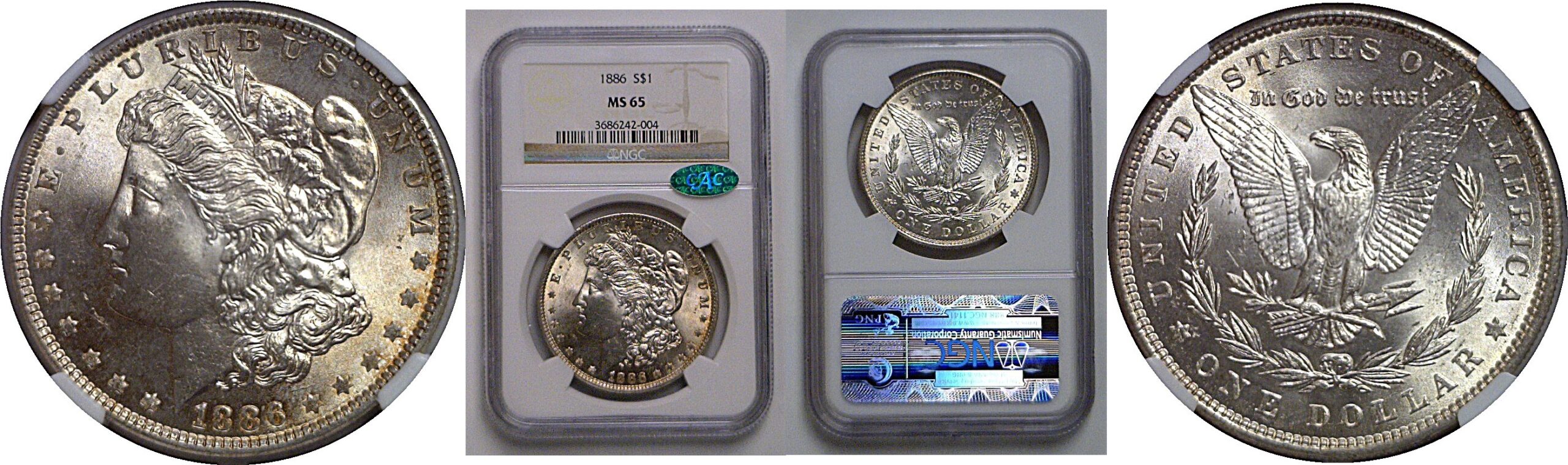 1886 Morgan Dollar   NGC MS-65  CAC