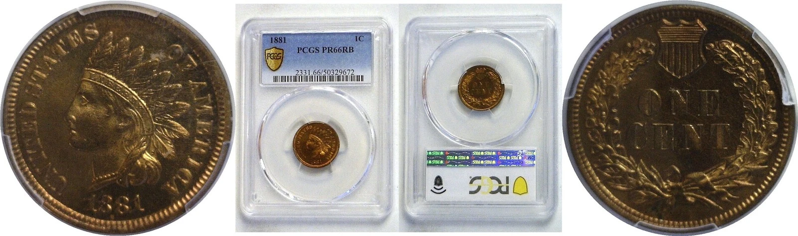 1881  Indian Head Cent   PCGS PR-66 RB
