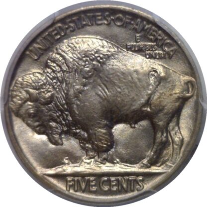1915  Buffalo Nickel    PCGS MS-67 - Image 3