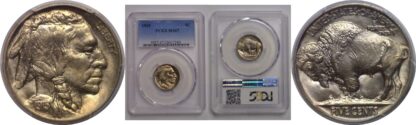 1915  Buffalo Nickel    PCGS MS-67