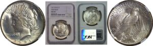 1921  Peace Dollar   NGC MS-64+