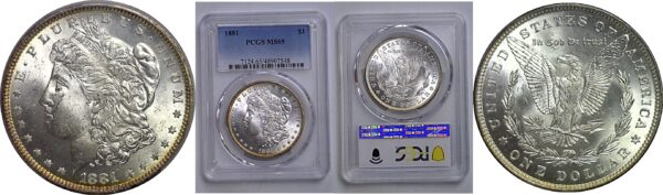 1881 Morgan  Dollar    PCGS MS-65