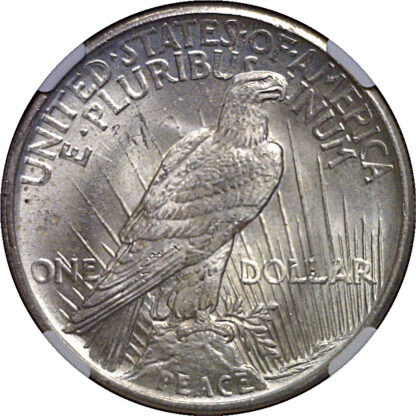 1921 Peace Dollar   NGC MS-64 - Image 3