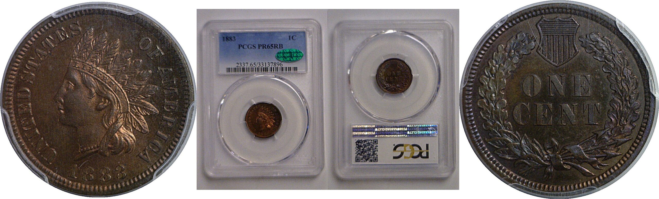 1883 Indian Head Cent    PCGS PR-65 RB CAC