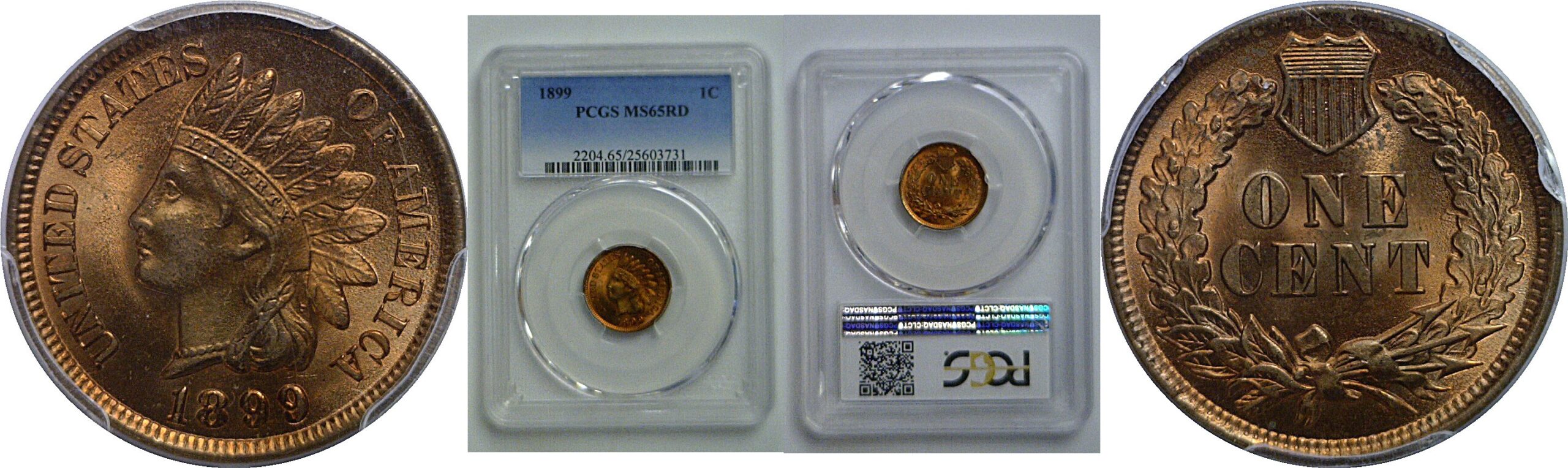 1899  Indian Head Cent   PCGS MS-65 RD