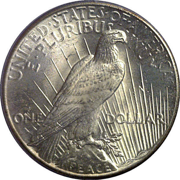1928 Peace Dollar    PCGS MS-63 - Image 3