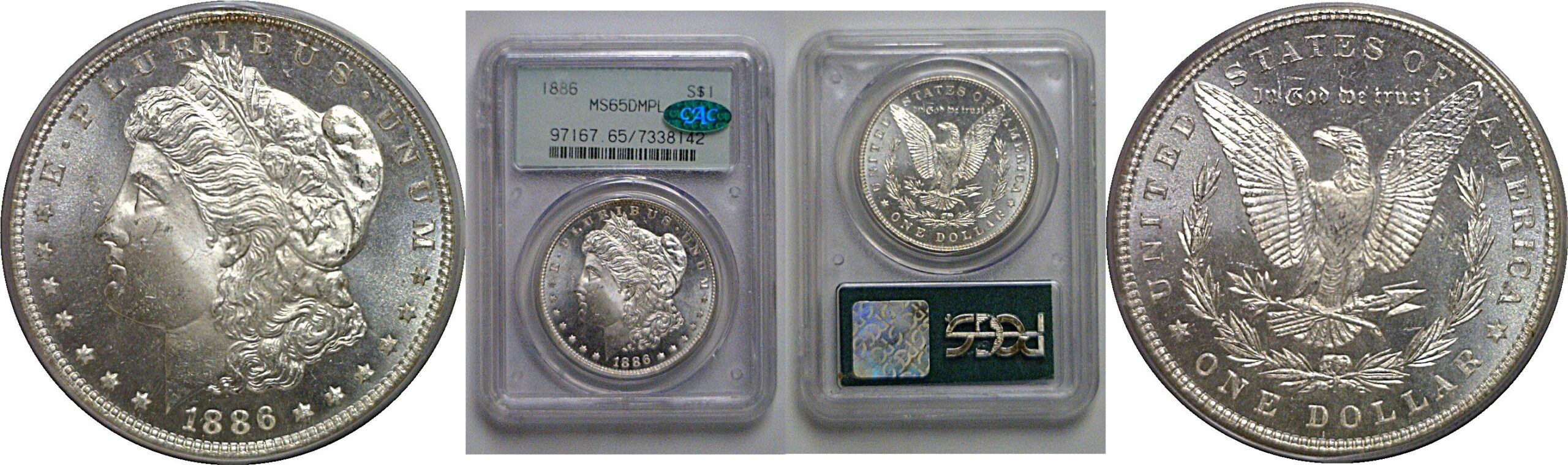 1886 Morgan Dollar   PCGS MS-65 DMPL  CAC