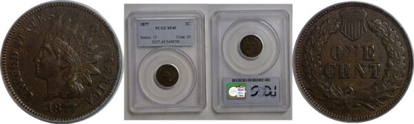 1877 Indian Head Cent   PCGS XF-45