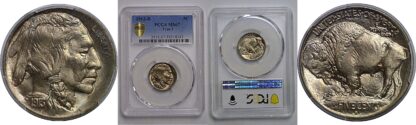 1913-D T-1  Buffalo Nickel   PCGS MS-67