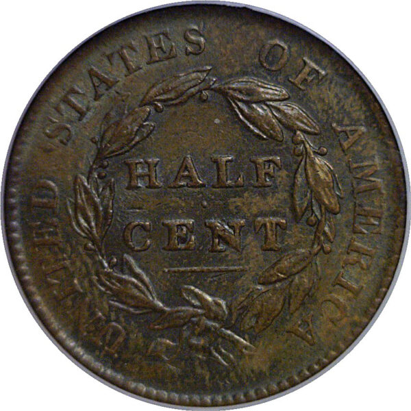 1825 Half Cent   NGC AU-58 - Image 3