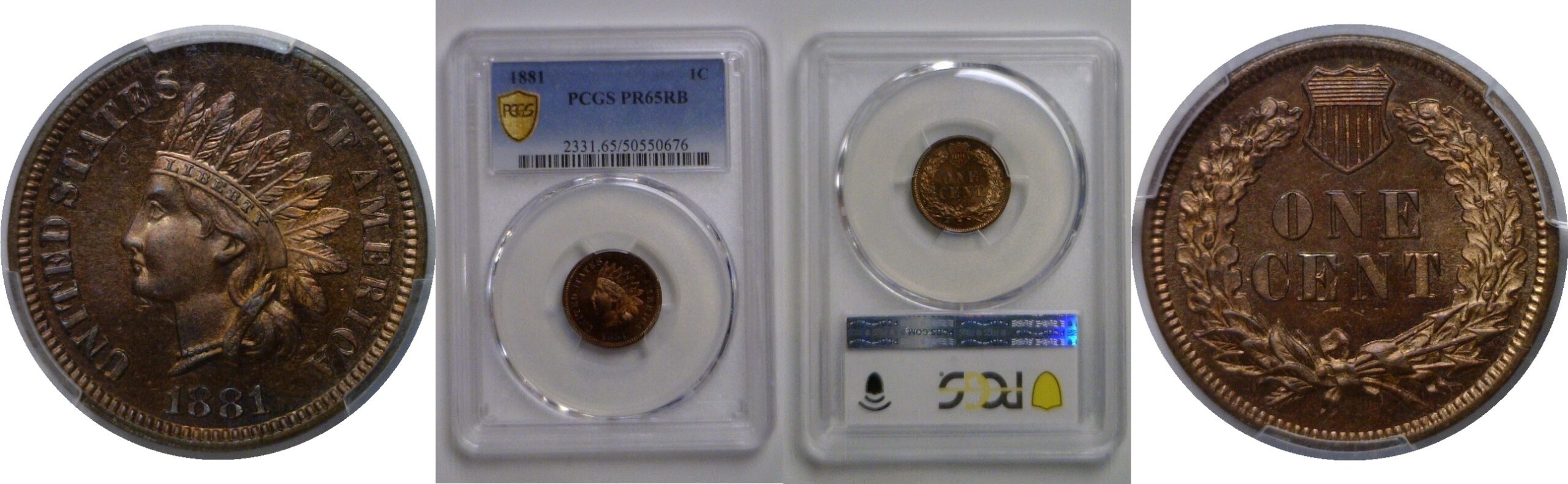 1881 Indian Head Cent    PCGS PR-65 RB