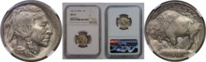 1913-D T-1  Buffalo Nickel    NGC MS-67