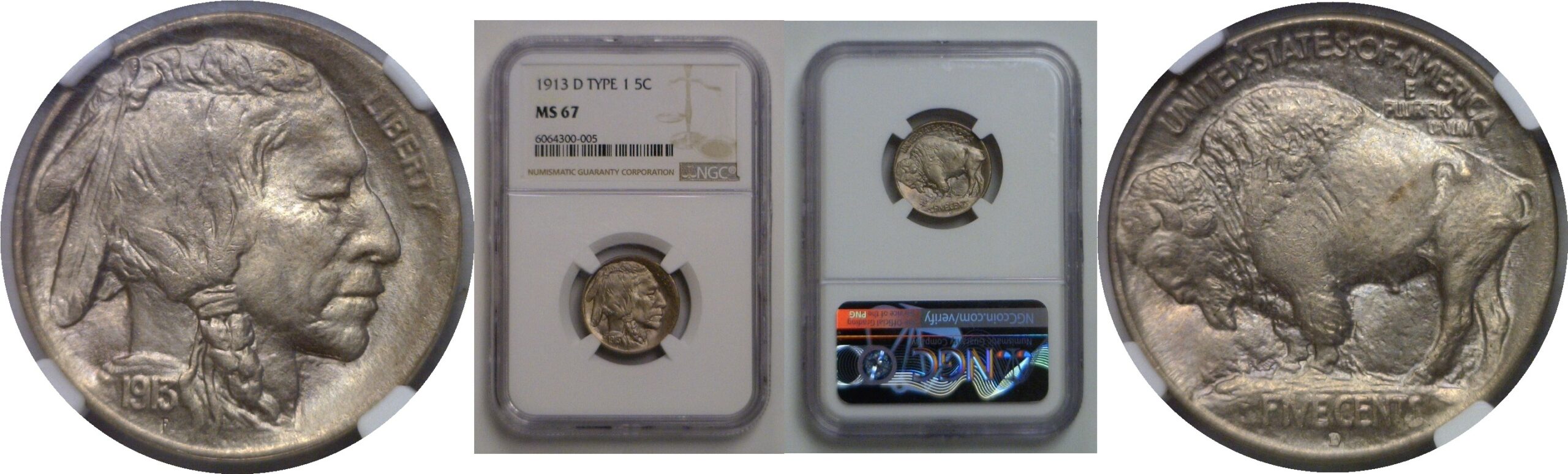 1913-D T-1  Buffalo Nickel    NGC MS-67