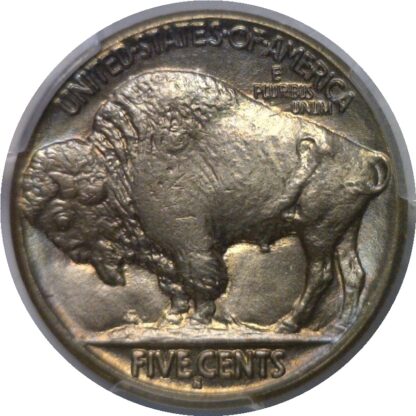 1916-S Buffalo Nickel    PCGS MS-65+ - Image 3
