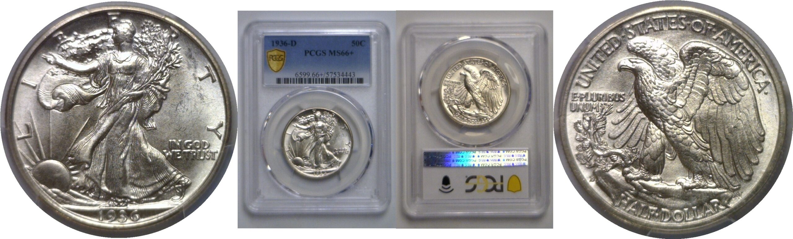 1936-D Walking Liberty Half Dollar   PCGS MS-66+