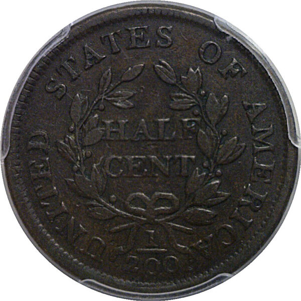 1804 Half Cent    PCGS VF-30 - Image 3