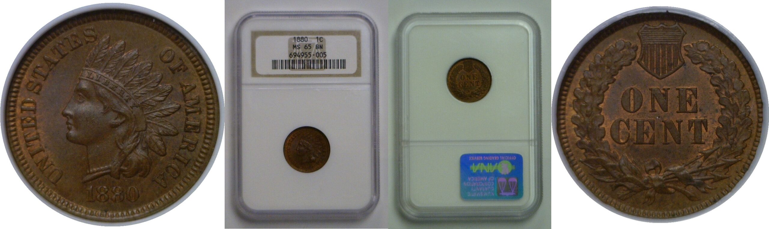 1880 Indian Head Cent   NGC MS-65 BN
